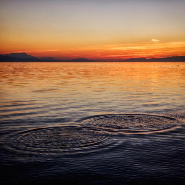 olivier-fahrni-268660